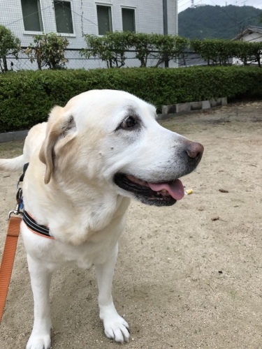 f0315081_22373895.jpeg