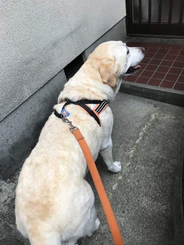 f0315081_22400561.jpeg