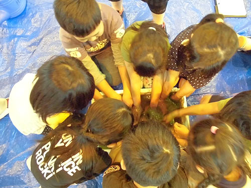 田植え体験(下目黒小・枝野小)_d0247484_16391292.jpg
