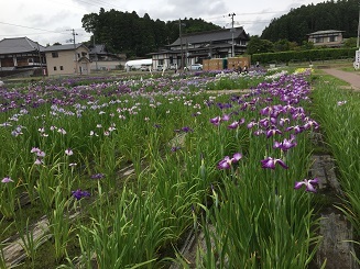 d0261484_09093050.jpg