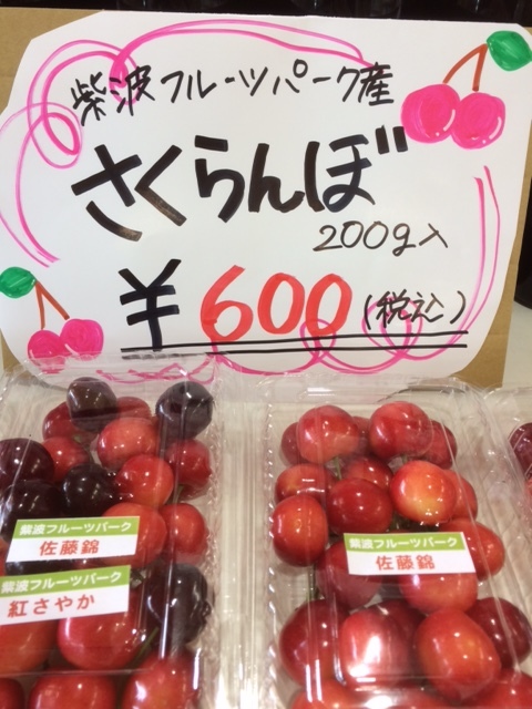 f0089297_15000798.jpeg