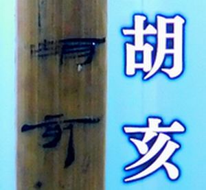 中国王朝 よみがえる伝説 悪女たちの真実 趙妃 Art Bell By Tora