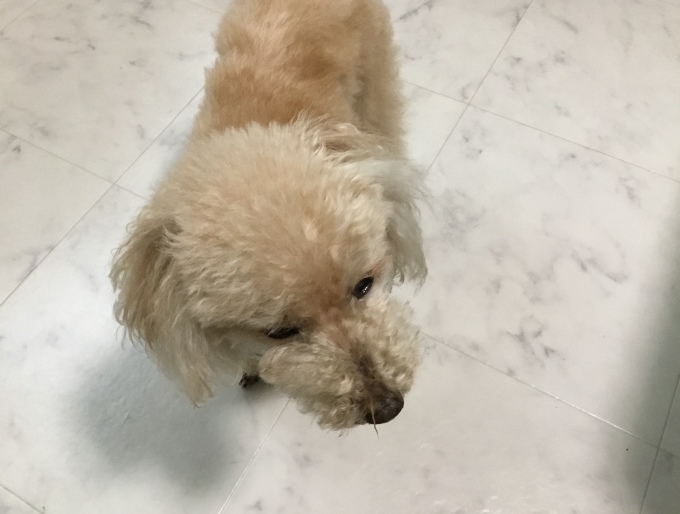 c0041207_11565717.jpeg