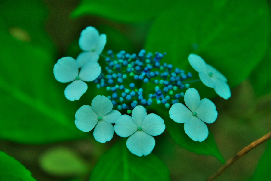 a0263109_16490918.jpg