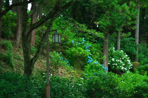 a0263109_16541811.jpg