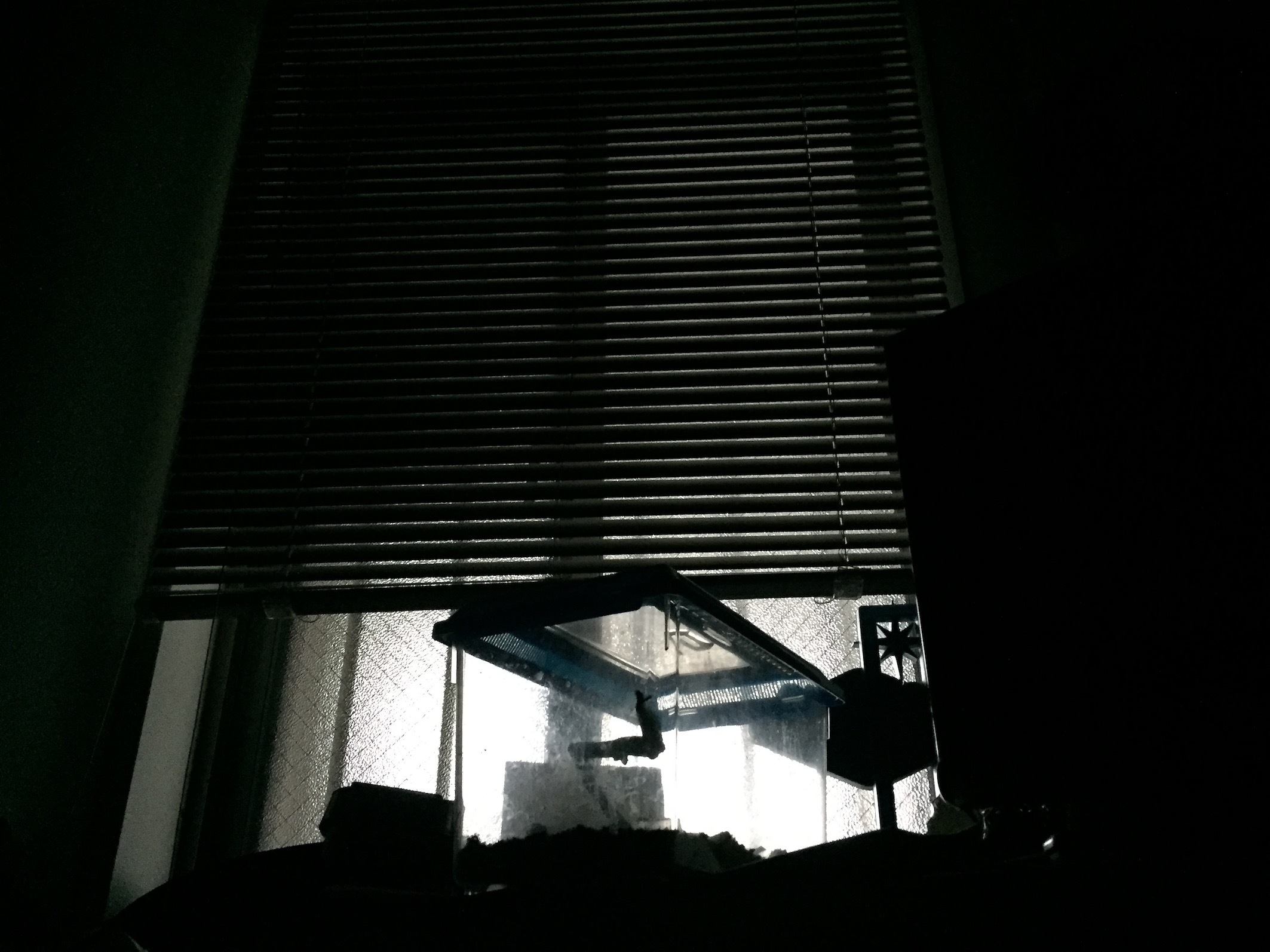 c0150209_17393306.jpeg