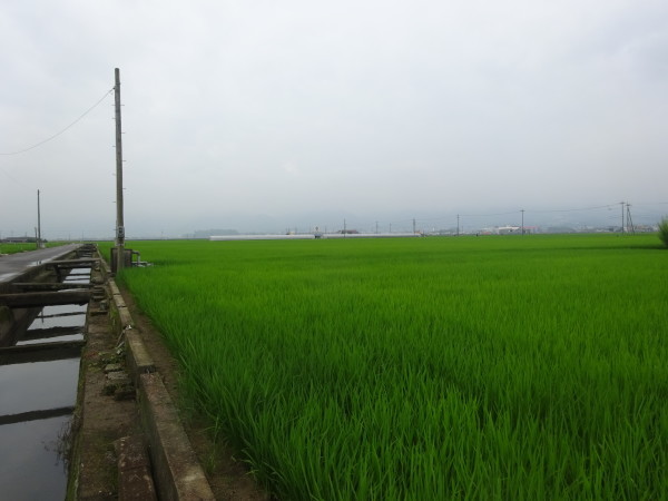 f0231709_13333350.jpg