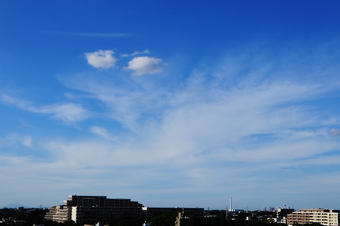 塔状雲（巻雲）_b0268615_1725245.jpg