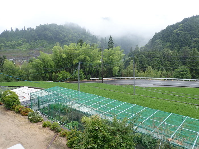 雨の一日_c0116915_00272398.jpg