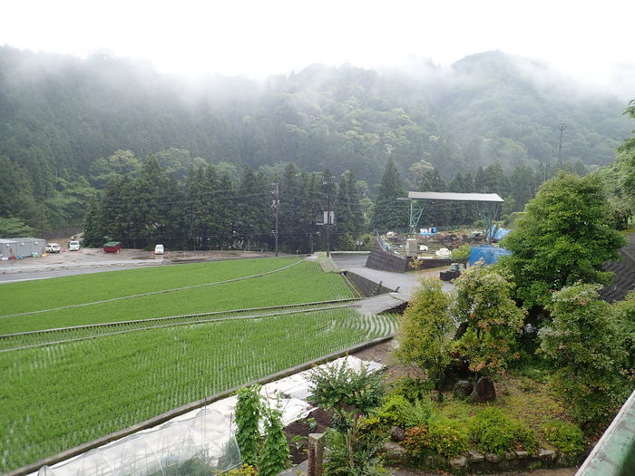 雨の一日_c0116915_00273277.jpg