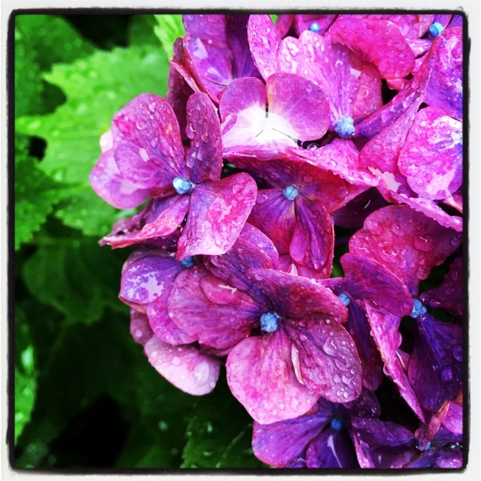 シャッキシャキ　空芯菜炒め_f0235919_17343926.jpeg