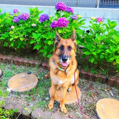 c0132121_09011032.jpeg