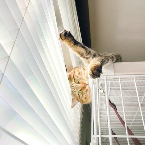 c0132121_09040056.jpeg