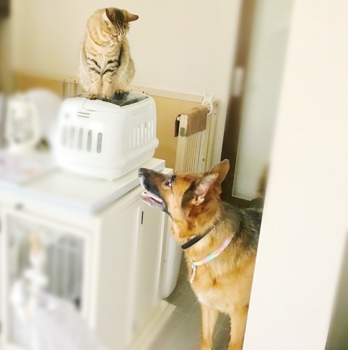 c0132121_09054902.jpeg