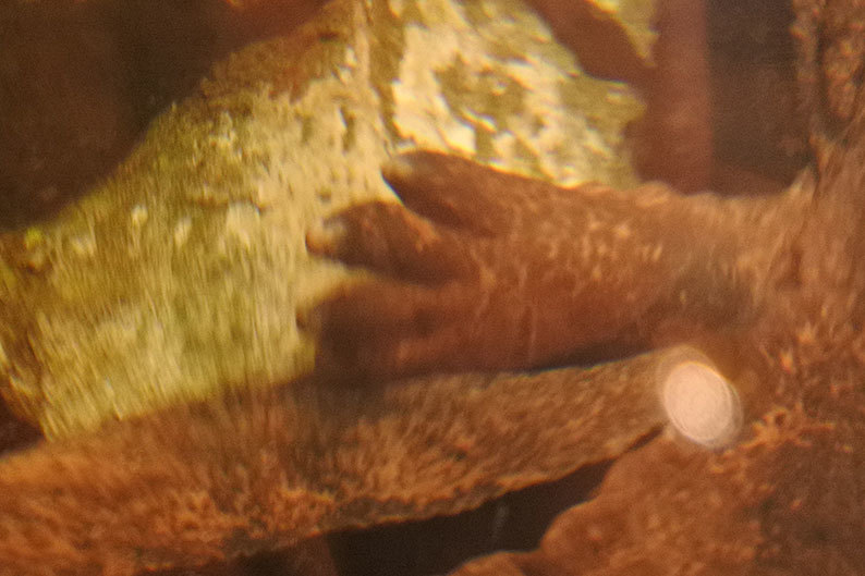 b0036733_09452832.jpg