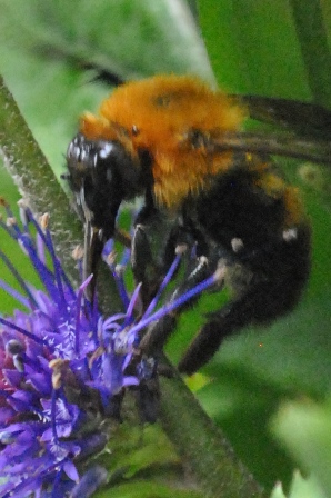 a0123836_13314340.jpg