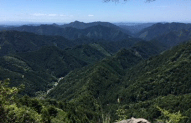 e0371039_953558.gif