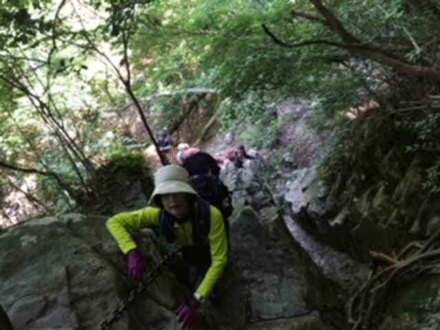 e0371039_962168.gif