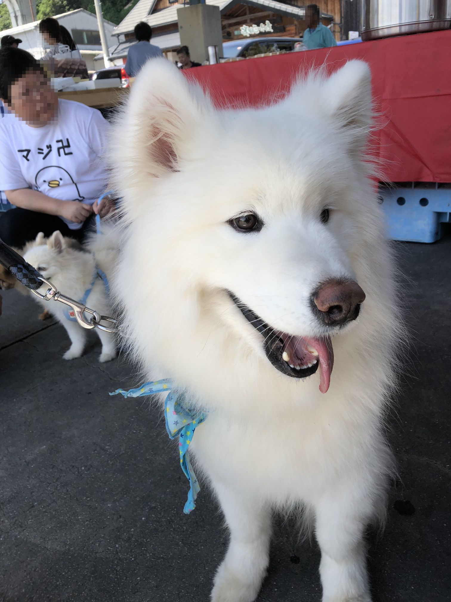 2018年 穴子オフ その2_f0128542_02331847.jpg