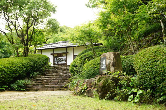 雨が似合う紫陽花_c0306845_14385489.jpg