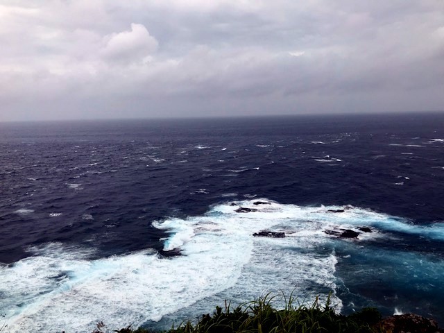 b0158746_14341875.jpeg