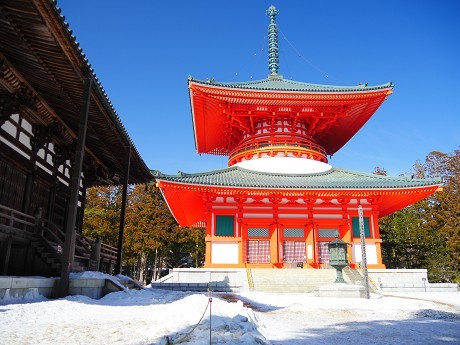 雪の高野山へ_c0057946_20500418.jpg