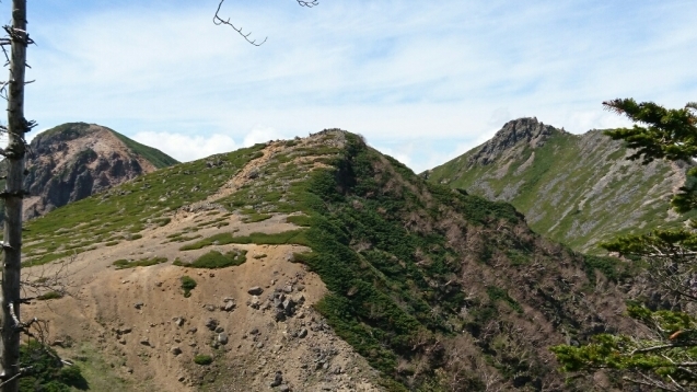 b0148050_12465006.jpg