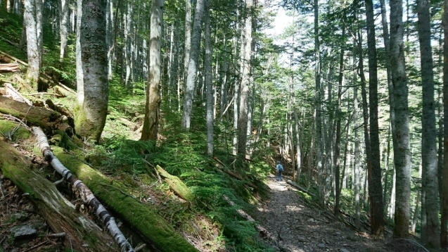 b0148050_12581023.jpg