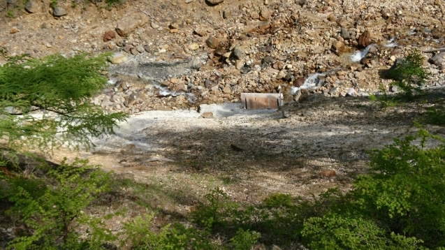 b0148050_13153841.jpg