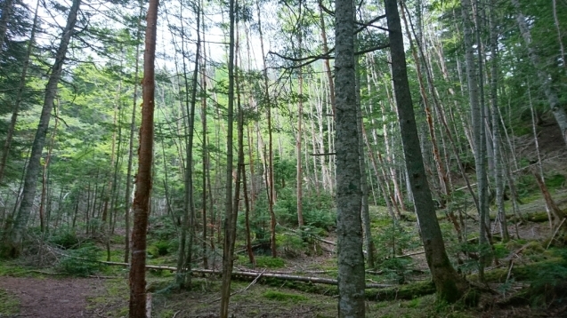 b0148050_18105386.jpg