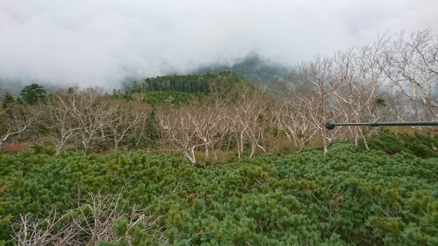 b0148050_18161075.jpg