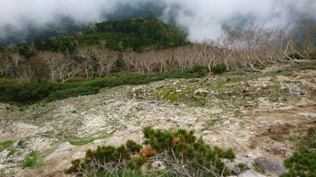 b0148050_18161339.jpg