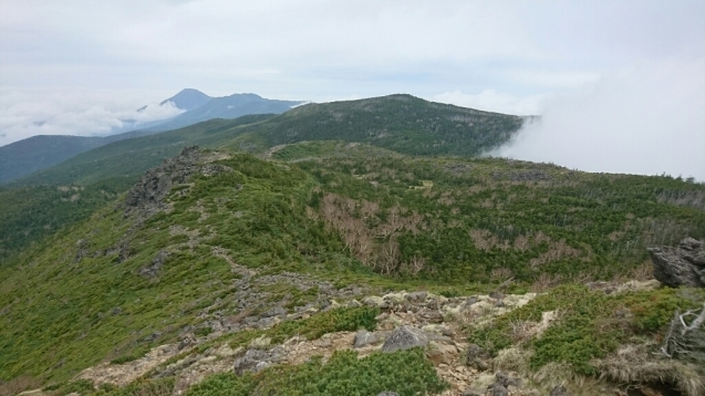 b0148050_18274970.jpg