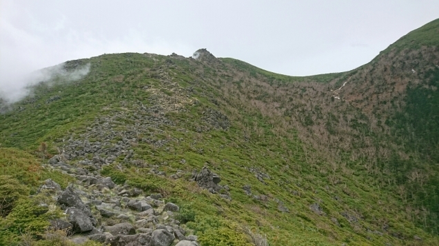 b0148050_18275128.jpg