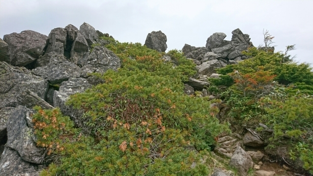 b0148050_18275356.jpg