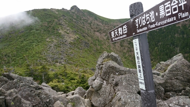b0148050_18275501.jpg
