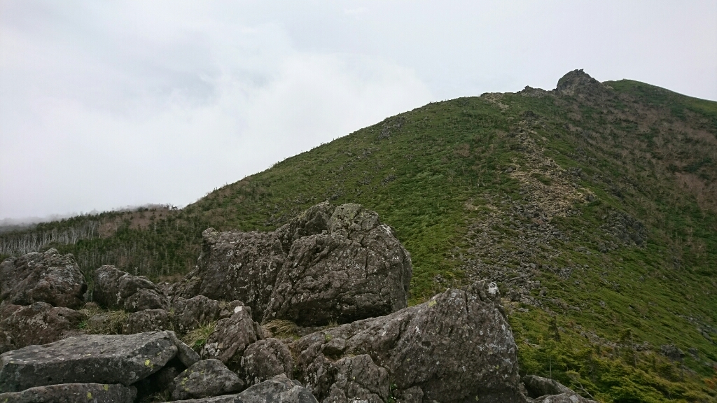 b0148050_19540594.jpg