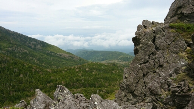 b0148050_19540784.jpg