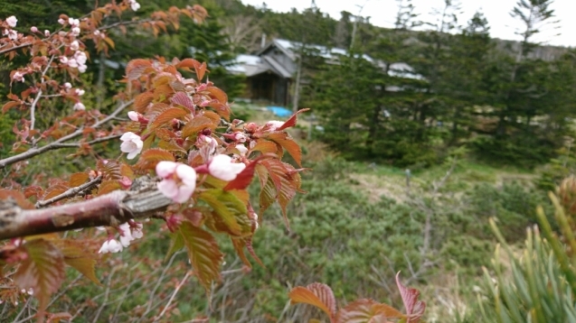 b0148050_19541790.jpg