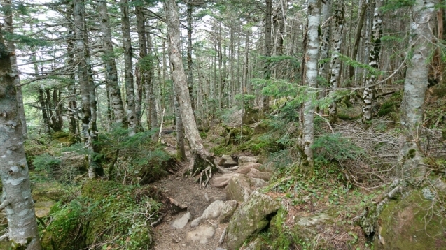 b0148050_20075690.jpg