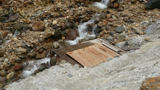 b0148050_20271241.jpg