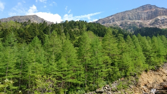 b0148050_21080146.jpg