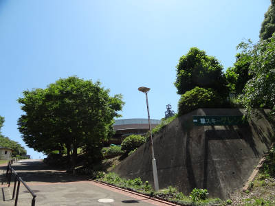 e0033751_1714245.jpg
