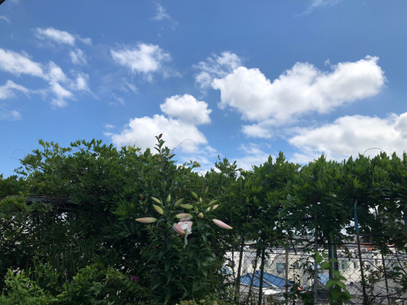 b0181457_00550577.jpg
