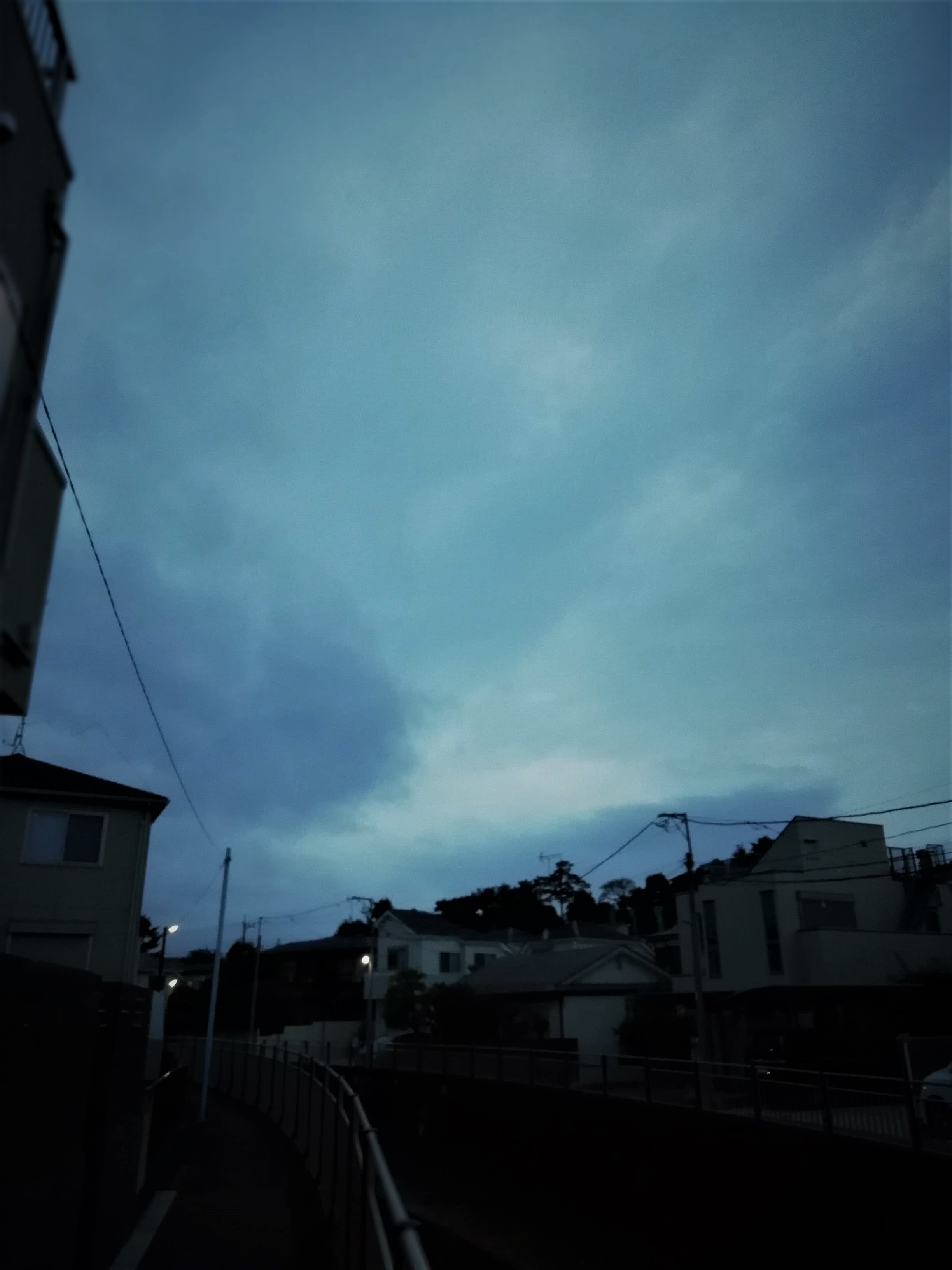 b0019960_19352619.jpg
