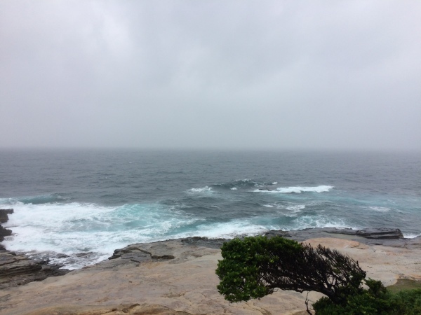 朝から大雨です。。_f0164662_14271131.jpeg