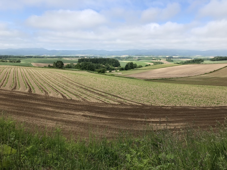 d0262778_19130647.jpeg