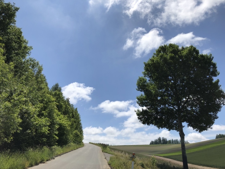 d0262778_19134258.jpeg