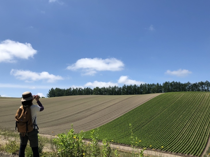 d0262778_19152438.jpeg