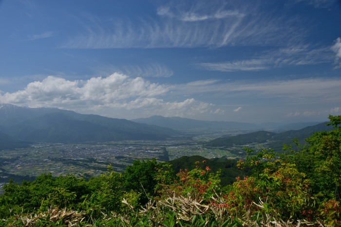 d0341880_14410691.jpg